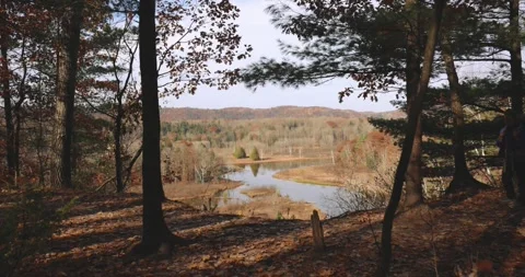 Breathtaking Views of the North Forest Stockbeeldmateriaal 347838455