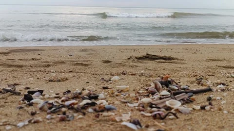Breathtaking views of rolling ocean waves Stock Footage 325220577