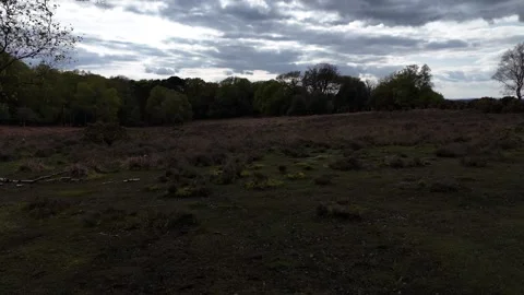 Breathtaking views soaring above the New Forest Stock Footage 279096829