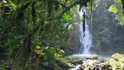Breathtaking waterfall hidden deep within a lush tropical rainforest jungle Stock Footage 345100635