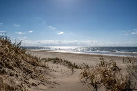 A breathtaking wide-angle view of a pristine, sun-drenched beach, inviting ex Stock Photos