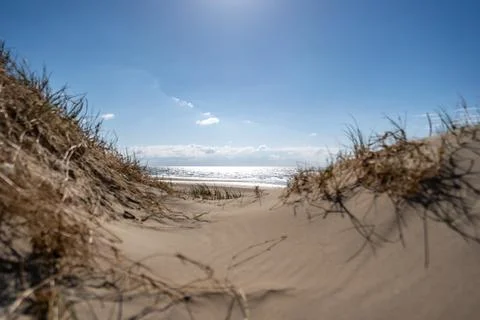 A breathtaking wide-angle view of a pristine, sun-drenched beach, inviting ex Stock Photos
