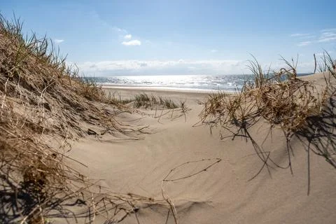 A breathtaking wide-angle view of a pristine, sun-drenched beach, inviting ex Stock Photos