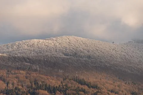 Breathtaking winter landscape featuring layered forest hills with a strikin.. Stock Photos