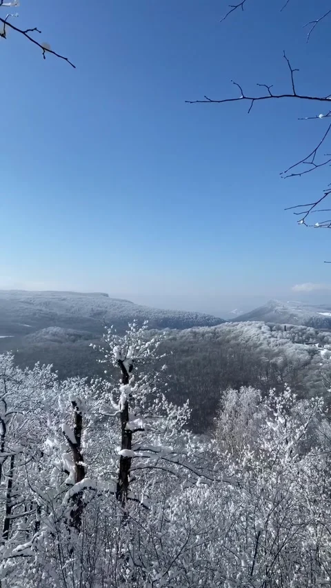 A breathtaking winter panorama moving left Stock Footage 305317693