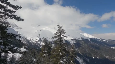 Breathtaking winter scene showcasing snow-blanketed mountains with tall pine  Stock Footage 309884231