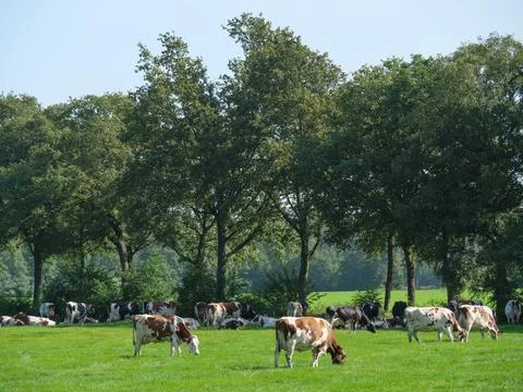 Bredevoort in the netherlands Foto stock