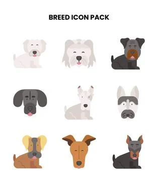Breed Flat Graphics Icons Pack Illustration