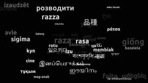 Breed Translated in 67 Worldwide Languages Endless Looping 3d Zooming Wordclo Video stock 145223382