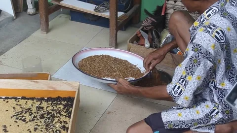 Breeding larval farse for pet feed. Stock Footage 272284573