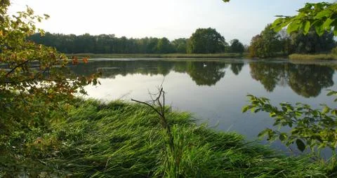 Breeding pond Stock Photos