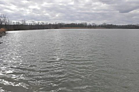 Breeding pond Stock Photos