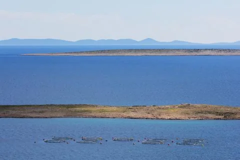 Breeding site of seashells 스톡 사진