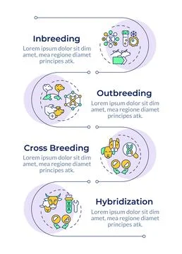 Breeding techniques infographic vertical sequence Illustrazione stock