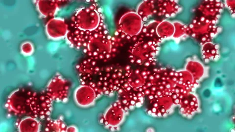Breeding Virus Stock Footage 123981439