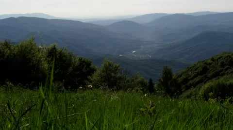 The breeze and the grass Stock Footage 68807371