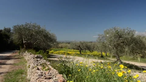 Breeze and spring sun Stock Footage 152237276