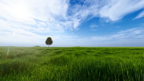 The breeze blows through the blue sky and grass Stock Footage 288168151