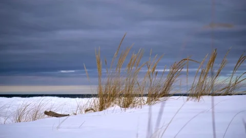 Breeze blows through Dune Grass on a snowy Lake Michigan Beach Stock Footage 197583844
