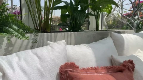 Breeze in the cafe interior with pillows and plants 스톡 동영상 172481438