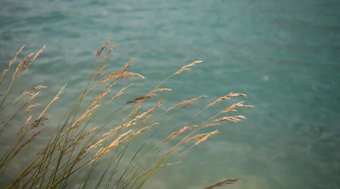 Breeze Video stock 25842390