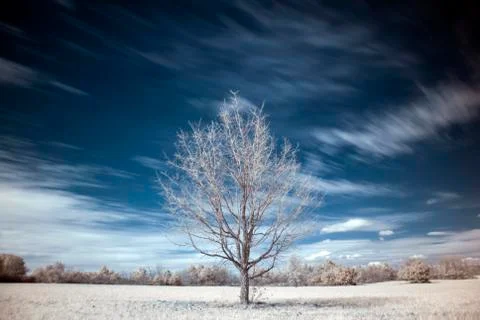 Breeze Stock Photos
