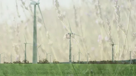 Breeze starting turbines rotating and translucent grass veil shifting across Stock Footage 334744191