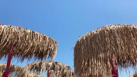 Breeze summer day under straw sun umbrellas in 4k Stock Footage 133998795
