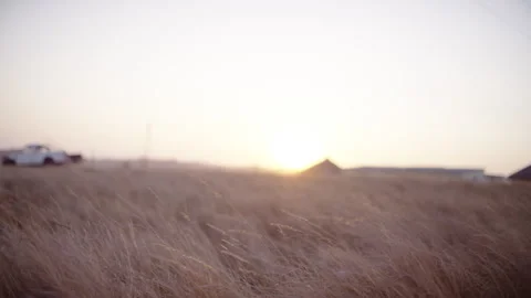 Breeze through the dry grass Stock Footage 278788698