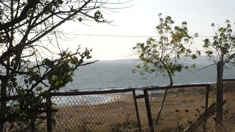 Breeze waves small trees near broken fence against blue sea Stock Footage 145331723