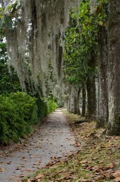 Breezeway Stock Photos