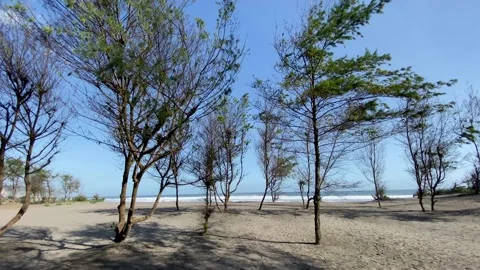 Breezing in the middle of summer Stock Footage 144095640