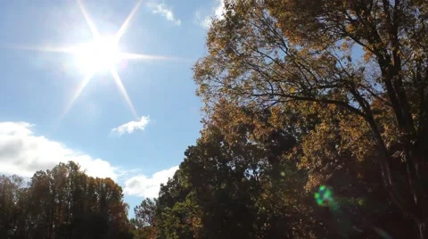 A breezy afternoon on a summer's day Stock Footage 44447314