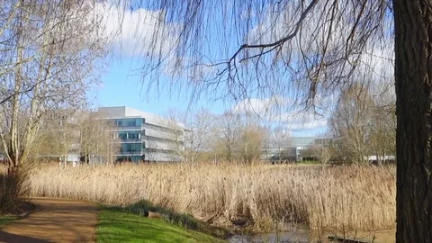 Breezy day on a business park Stock Footage 124596341