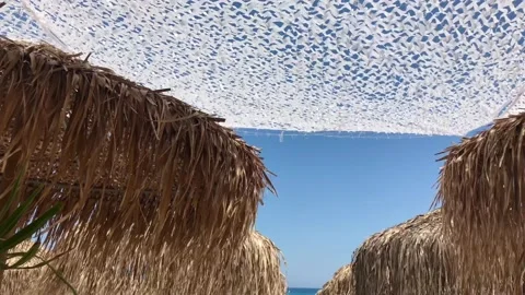Breezy summer day under straw sun umbrellas and white mesh canopy in 4k Stock Footage 135038289