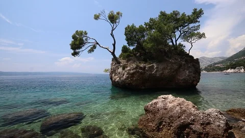 Brela tree, Croatia Stock Footage 116552130