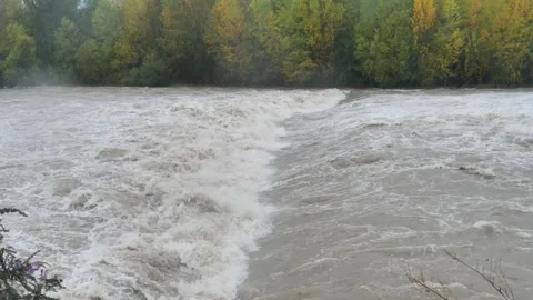 Brembo river Stock Footage 254854683