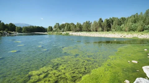 Brembo river, Italy Stock Footage 201232069