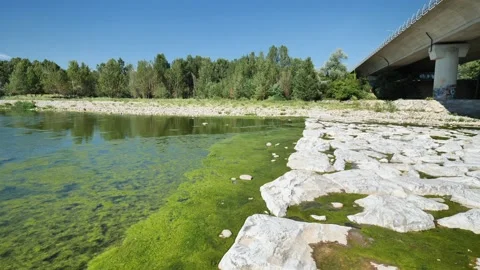 Brembo river, Italy Stock Footage 201232123