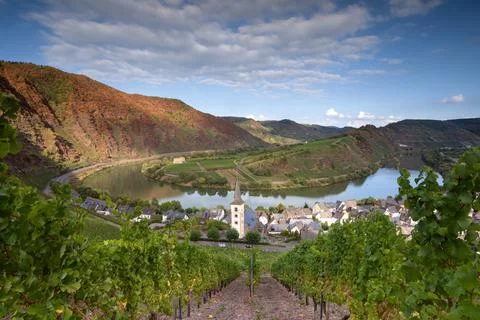Bremm with loop of Moselle river, Germany Stock Photos
