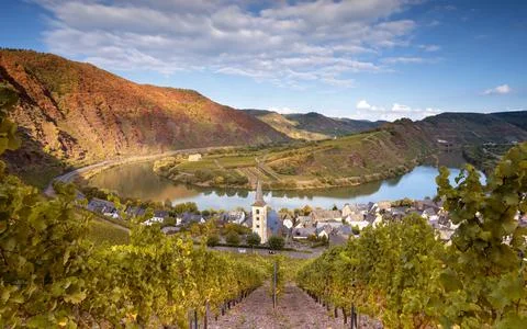 Bremm with loop of Moselle river, Germany Foto stock
