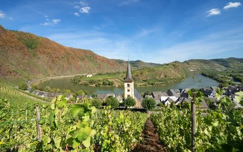 Bremm with loop of Moselle river, Germany Stock Photos
