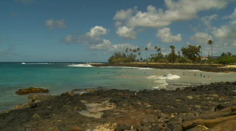 Brennekes Beach Stock Footage 772273