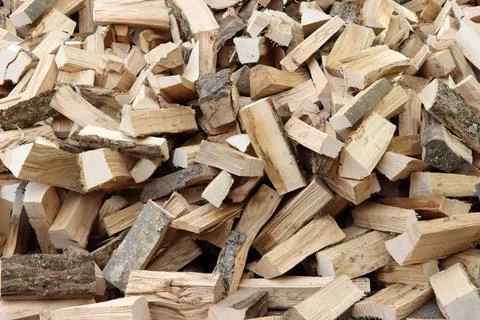 Brennholz für den nächsten Winter *** Firewood for the next Winter 1033003. Stock Photos