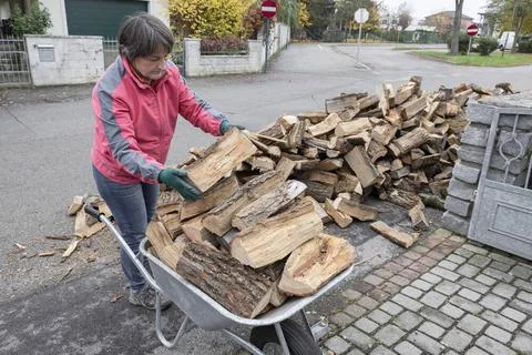 Brennholz, Holzscheiter einlagern *** Firewood, loggers store 1065529861 Stock Photos