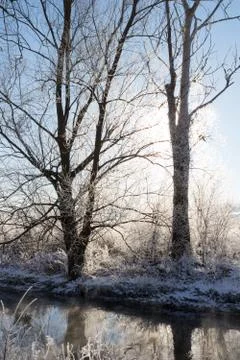 The Brenz river in winter Stock Photos
