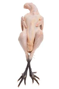 Bresse chicken Foto stock