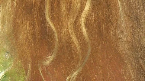 Brest Video stock 845329