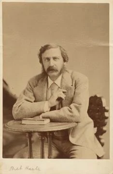 Bret Harte Foto stock