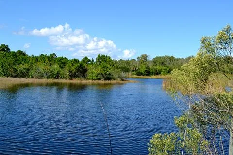 BrevardZoo Stock Photos